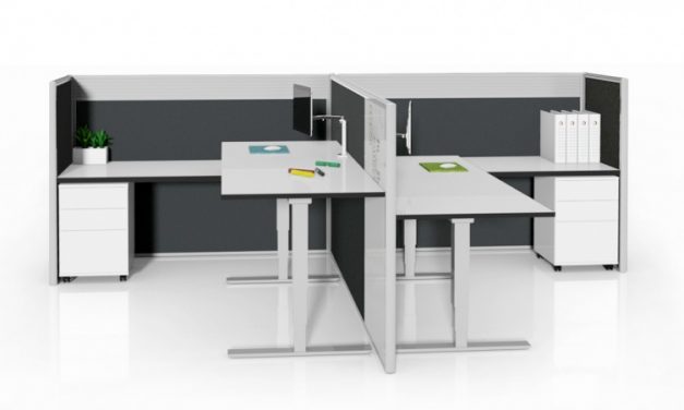 DDK’s Selectric Sit Stand Desk – Office Workstation